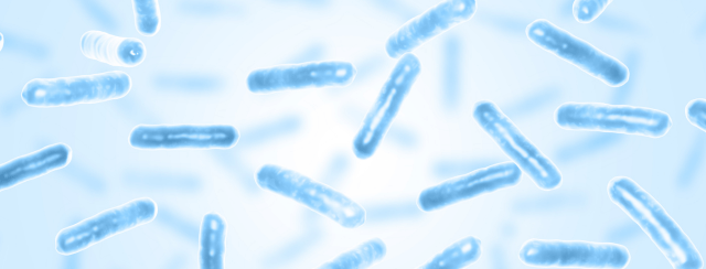 Acide lactique : La vérité  sur vos douleurs musculaires